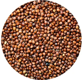 quinoa-komosa-ryzowa-czerwona-1-kg