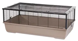 inter-zoo-bernie-empty-mokka-1000x540x390