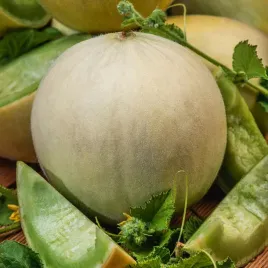 melon-oliwin-miazsz-jasno-zielony-nasiona-warzyw