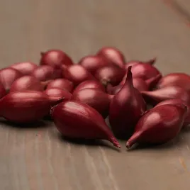 cebula-red-baron-czerwona-nasiona-cebuli-warzyw-plenna-smaczna-odmiana