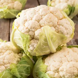 kalafior-early-snowball-x-bialy-wczesny-kalafiory-nasiona-kalafiora