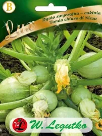 dynia-zwyczajna-cukinia-tondo-chiaro-di-nizza-jasnozielona-nasiona-dyni
