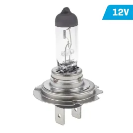 zarowka-vision-h18-12v-65w-py26d-1