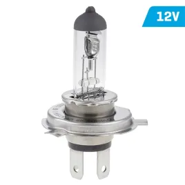 zarowka-vision-h19-12v-60-55w-pu43t-3