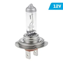 zarowka-vision-h7-12v-55w-px26d-50percent