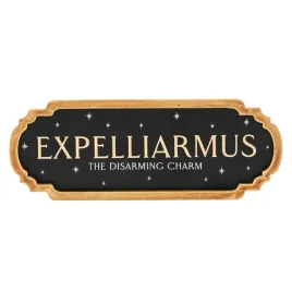 harry-potter-expelliarmus-dekoracja-scienna