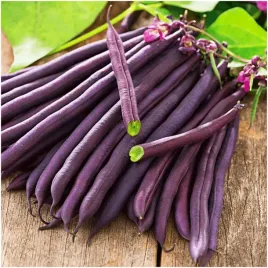 fasola-purple-teepee-straki-bez-wlokien-delikatne-nasiona-30-g