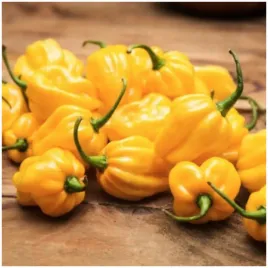 papryka-ostra-habanero-yellow-zolta-nasiona-02-g