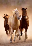 puzzle-clementoni-1000-elementow-puzzle-stan-nowy