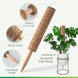 podpora-do-roslin-palik-kokosowy-6-sztuk-20-cm