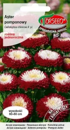nasiona-aster-wysoki-pomponowy-bialo-czerwony-05g-torseed