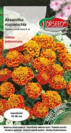 nasiona-aksamitka-rozpierzchla-niska-dwubarwna-1g-torseed