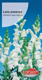nasiona-lwia-paszcza-biala-1g-torseed