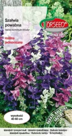 nasiona-szalwia-powabna-mieszanka-torseed