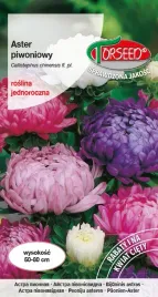 nasiona-aster-wysoki-piwoniowy-mieszanka-1g-torseed