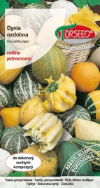 dynie-ozdobne-mix-nasion-i-gatunkow-nie-tylko-na-halloween-torseed