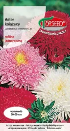 nasiona-aster-wysoki-ksiazecy-mieszanka-1g-torseed