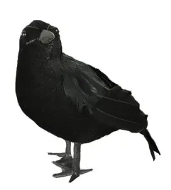 dekoracja-czarny-kruk-kruka-ptak-halloween
