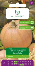 nasiona-dynia-zwyczajna-danka-polka-3g-w-legutko