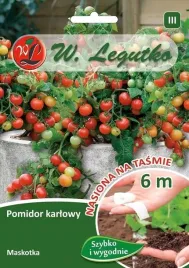 nasiona-pomidor-maskotka-6m-tasma-w-legutko