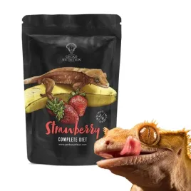gecko-nutrition-strawberry-truskawka-250g-pokarm-papka-dla-gekona
