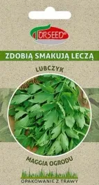 nasiona-lubczyk-lekarski-02g-torseed