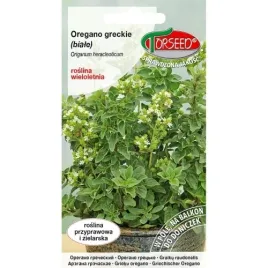 oregano-greckie-origanum-heracleoticum-biale-01g-torseed