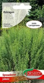 nasiona-estragon-artemisia-dracunculus-01g-torseed
