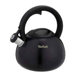 czajnik-nieelektryczny-tefal-n4180410