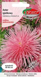 nasiona-aster-wysoki-igielkowy-czerwonolososiowy-torseed