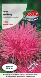 nasiona-aster-wysoki-igielkowy-rozowy-05g-torseed
