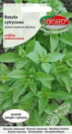 nasiona-bazylia-cytrynowa-torseed-ocimum-basilicum-01-g