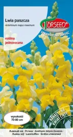 nasiona-lwia-paszcza-zolta-1g-torseed