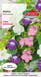 nasiona-asarina-pnacze-mix-20szt-torseed