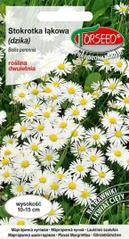 nasiona-stokrotka-lakowa-dzika-biala-2g-torseed