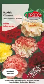 nasiona-gozdzik-chabaud-mieszanka-05g-torseed