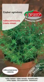 nasiona-czaber-ogrodowy-satureja-hortensis-1g-to