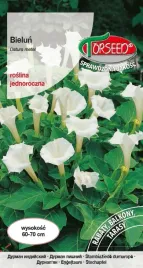 nasiona-bielun-bialy-torseed