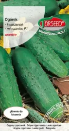 nasiona-ogorek-gruntowy-kwaszeniak-julian-torse