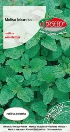 nasiona-melisa-melissa-officinalis-torseed