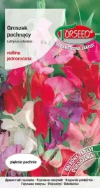nasiona-groszek-pachnacy-mieszanka-4g-torseed