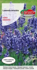 nasiona-lawenda-lekarska-lavandula-officinalis-02g-torseed