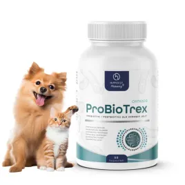 probiotyk-postbiotyk-dla-psa-kota-wsparcie-odpornosci-i-mikroflory-jelitowe