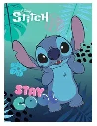 zeszyt-a5-32k-linia-podwojna-do-nauki-pisania-lilo-stitch-rozne-okladki