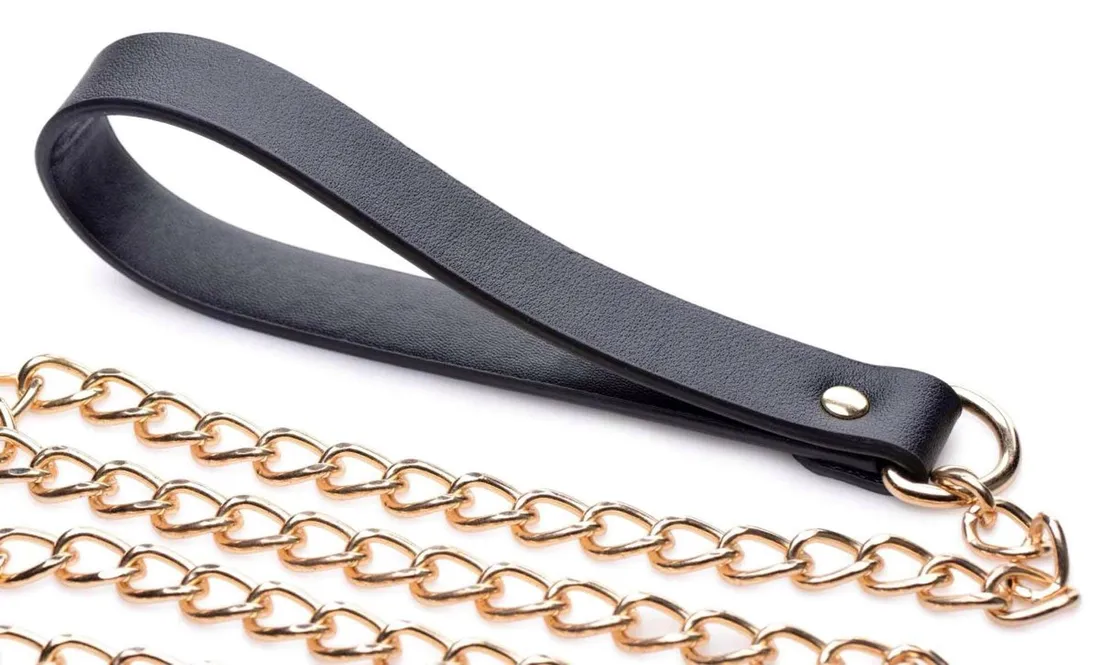 master-series-luxury-leash