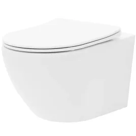 wc-carlo-mini-rimless-duroplast-elegancki-i-nowoczesny-design-lazienki