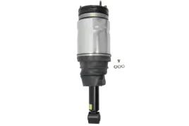 amortyzator-pneumatyczny-as-2534-arn