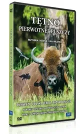tetno-pierwotnej-puszczy-dvd-bozena-walencik-jan-walencik