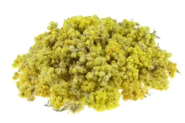 kocanka-piaskowa-kwiat-suszony-50g