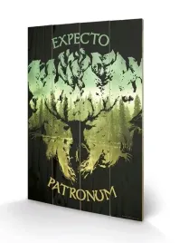 harry-potter-druk-na-drewnie-40x59-cm-expecto-patronum